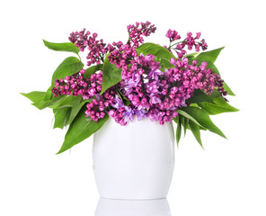 Lilac flowers in a white vase and isolated
