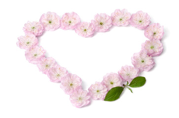 pink flowers in heart shape on white background