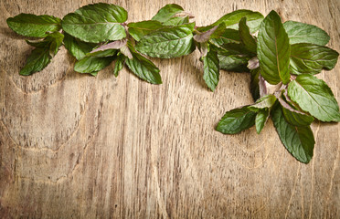 fresh mint leaves on wooden background