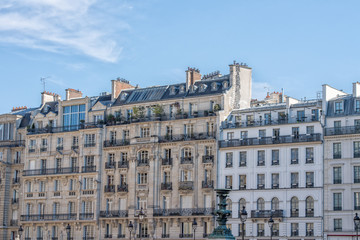 Fototapeta na wymiar paris roofs and building cityview