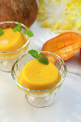 マンゴープリン