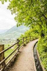 Algund, Algunder Waalweg, Waalweg, Wanderweg, Spazierweg, Fr&uuml;hlingswanderung, Fr&uuml;hling, Vinschgau, S&uuml;dtirol, Italien