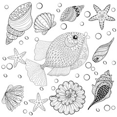 Hand drawn zentangle Fish with sea shells for adult anti stress - 111081389
