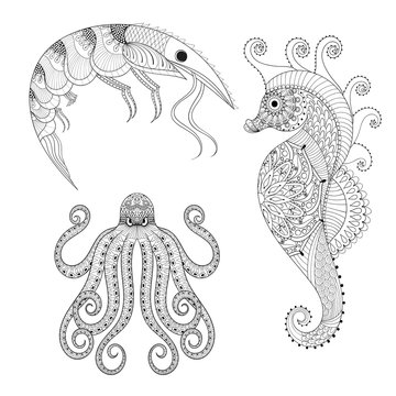 Hand drawn zentangle Shrimp, Sea Horse, Octopus for adult anti s