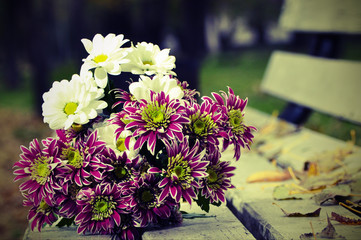 bouquet of chrysanthemums lying on the bench