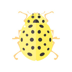 Ladybird in flat style.