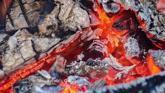 Holzfeuer, Lagerfeuer, orange, brennende Glut Video HD
