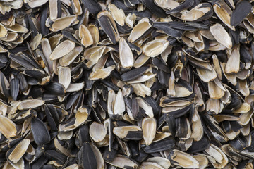 Шелуха от семечек подсолнуха крупным планом
