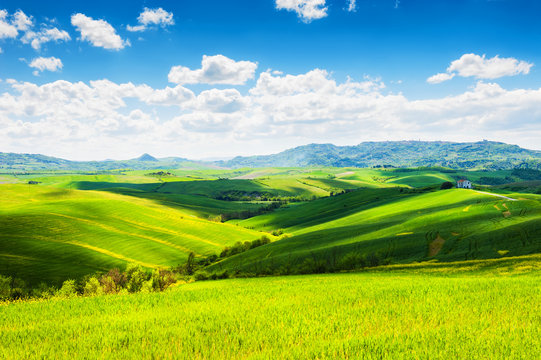 Green Hills In Tuscany, Italy.