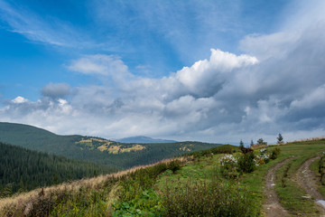 Obraz premium Carpathian Mountains