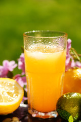 Orange juice, lemon, lime and flowers