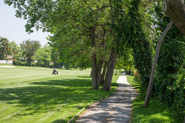 Golf course with golf car and pathway with trees.