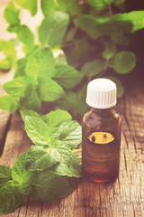 Essential oil of peppermint in a small bottle with fresh mint, s