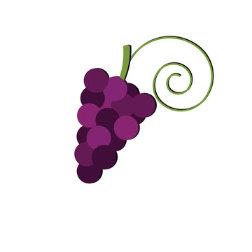 Bunch of grapes isolated on white background. Winemaking. Logo vineyards or shop. Logo grapes. Grapes vector.
