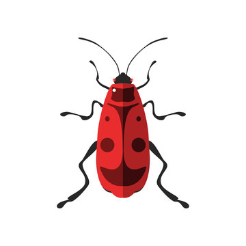 Vector illustration of a firebug.