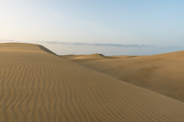 Fototapeta na wymiar Desert - beautiful landscape with sand dunes