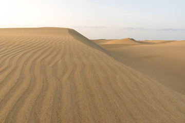 Sahara desert - beautiful landscape with sand dunes