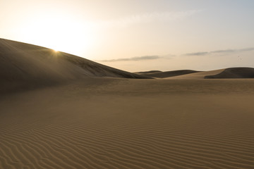 Fototapeta na wymiar Sunrise in Desert - beautiful landscape with sand dunes