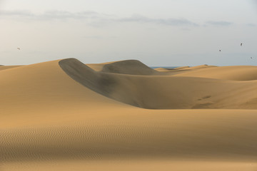 Fototapeta na wymiar Sahara desert - beautiful landscape with sand dunes