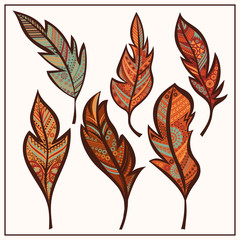 Set isolated tribal feathers ornament zentangle 