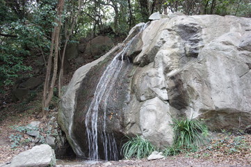 Obraz premium SONY DSC