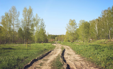 Village road in the forest