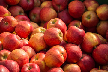 Rote Äpfel