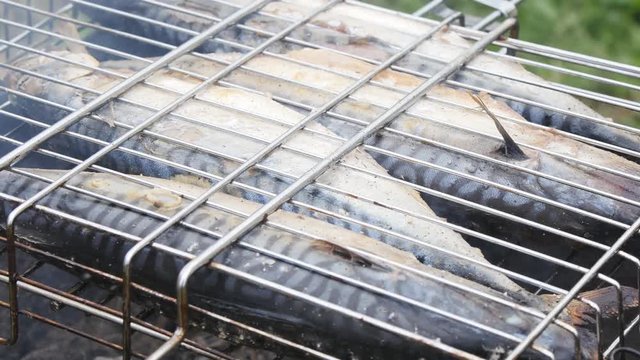 Grilled fish on the grill