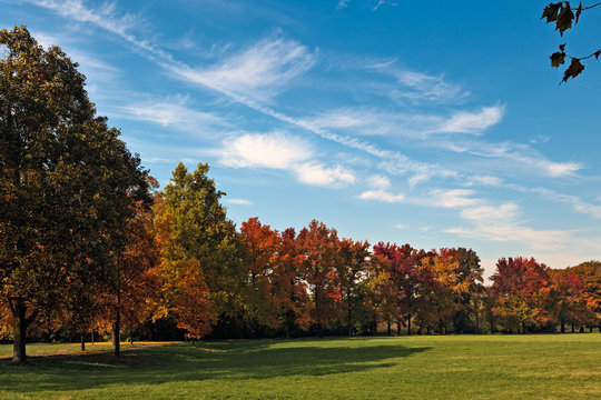 Autumn tints in Parco di Monza Italy