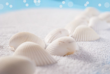 Obraz na płótnie Canvas White shells close up on white sand with the sea 