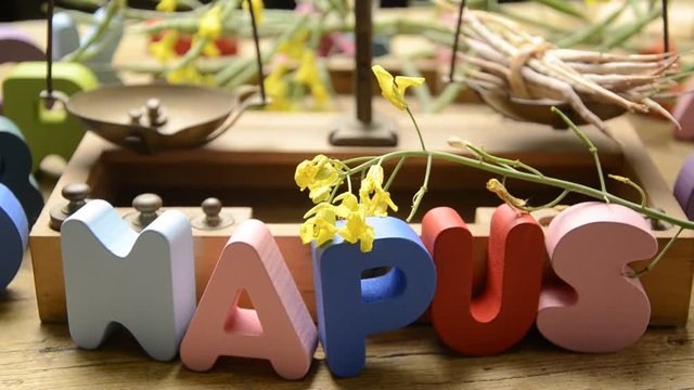 Brassica napus Canola Rapeseed Colza 油菜籽 Kapusta rzepak 유채 Рапс Raps Oilseed rape سلجم Reps Uljana repica कैनोला לפתית Repce ผักกาดก้านขาว セイヨウアブラナ Koolzaad  Սևուկ Kanola Samenk&ouml;rner