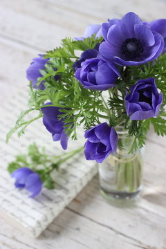 vasetto con anemoni in fiore