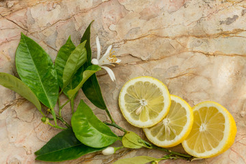 Лимон и ломтики лимона украшенные веткой цветущего лимонного дерева на каменном фоне © lubava84