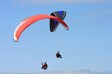 Paragliders