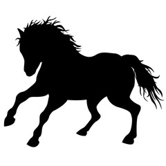Fototapeta na wymiar Black horse silhouette isolated 