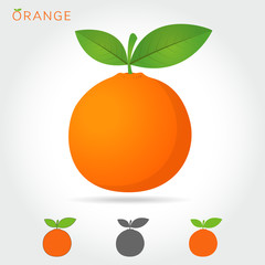 vector of Orange fruit