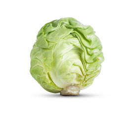 Fototapeta premium Cabbage