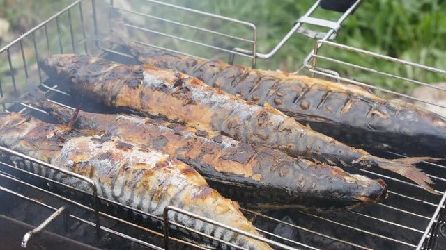 Grilled fish on the grill