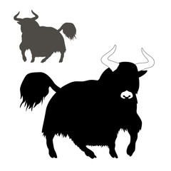  bull mountain yak