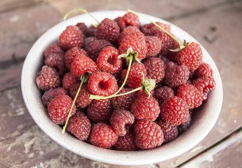 Harvest berry raspberry helpful