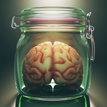 Brain in the pot. Concept image of a brain inside an hermetic glass storage. Clipping path included.