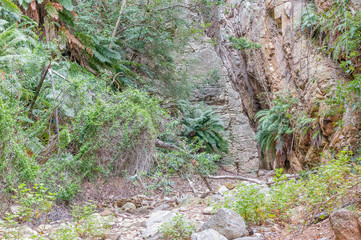 The Waterkloof trail at Bo-Kloof
