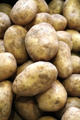 New fresh potatoes on the weekly market, Italy