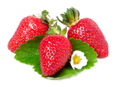 three strawberries with flower and leaves isolated on white background