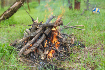Bonfire in the forest. Bonfire lit at A picnic in a forest. Green grass, trees and a soccer ball in the background
