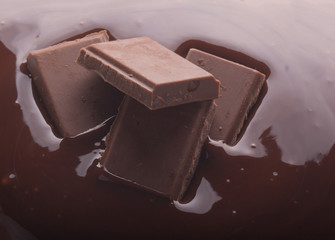 chocolate isolated