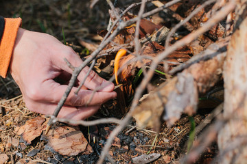 Bonfire next to the tourist camp. Journey into the wild concept.

