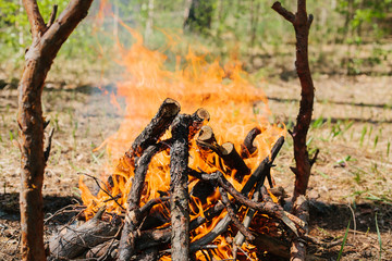 Bonfire next to the tourist camp. Journey into the wild concept.
