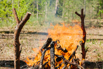 Bonfire next to the tourist camp. Journey into the wild concept.
