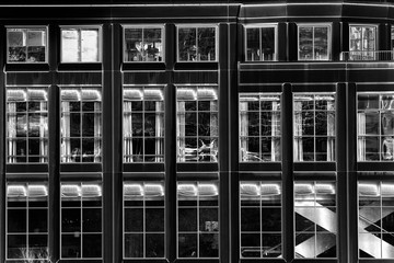 black and white image of windows
